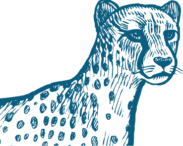 - Bgt Blue Cheetah Bgt Blue Cheetah