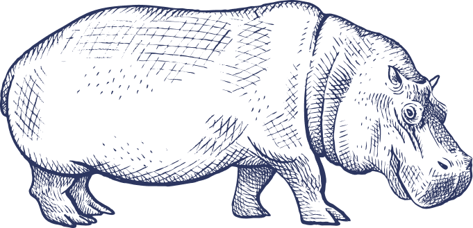 - Hippo Full Blue Hippo Full Blue