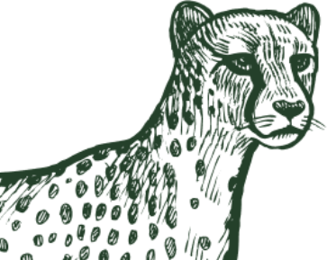 - Bg Cheetah Face Bg Cheetah Face